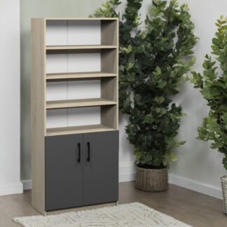 Dulap semi-închis cu rafturi