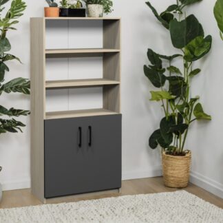 Dulap semi-închis cu rafturi